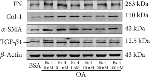 Details are in the caption following the image