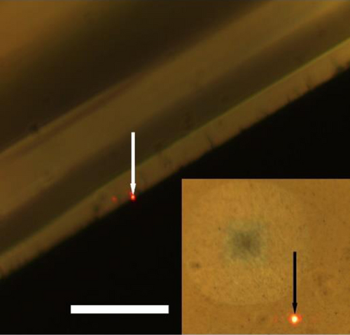 Details are in the caption following the image