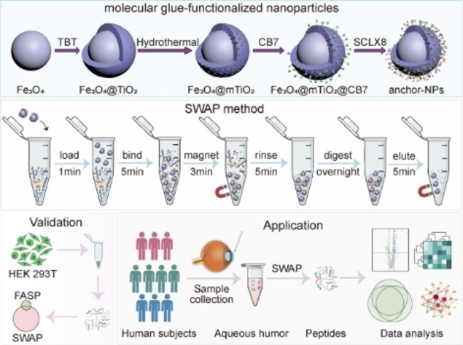 Superparamagnetic Composite Nanobeads Anchored with Molecular Glues for Ultrasensitive Label-free Proteomics
