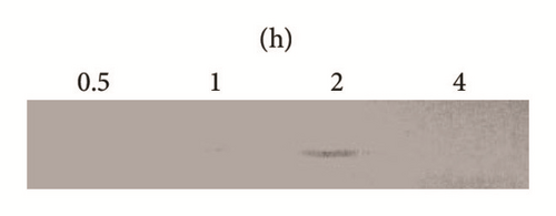 Details are in the caption following the image