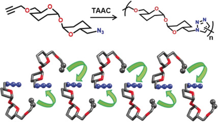 Crystal-to-Crystal Synthesis of Helically Ordered Polymers of Trehalose by Topochemical Polymerization