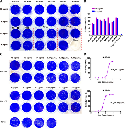 Details are in the caption following the image Details are in the caption following the image