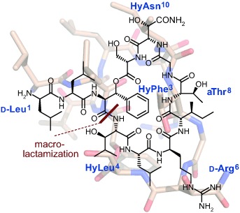 Structure and Total Synthesis of Lysobactin (Katanosin B)
