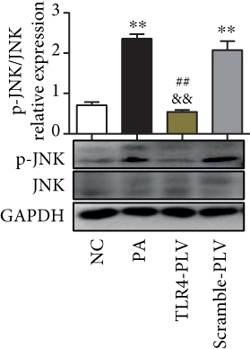 Details are in the caption following the image