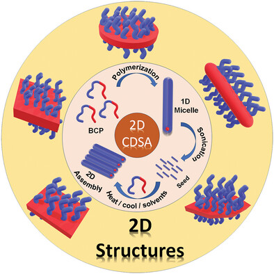 Harnessing Crystallization-Driven Self-Assembly (CDSA) of Semicrystalline Block Copolymers for Functional 2D Architectures and Their Applications