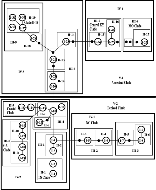 Details are in the caption following the image Details are in the caption following the image