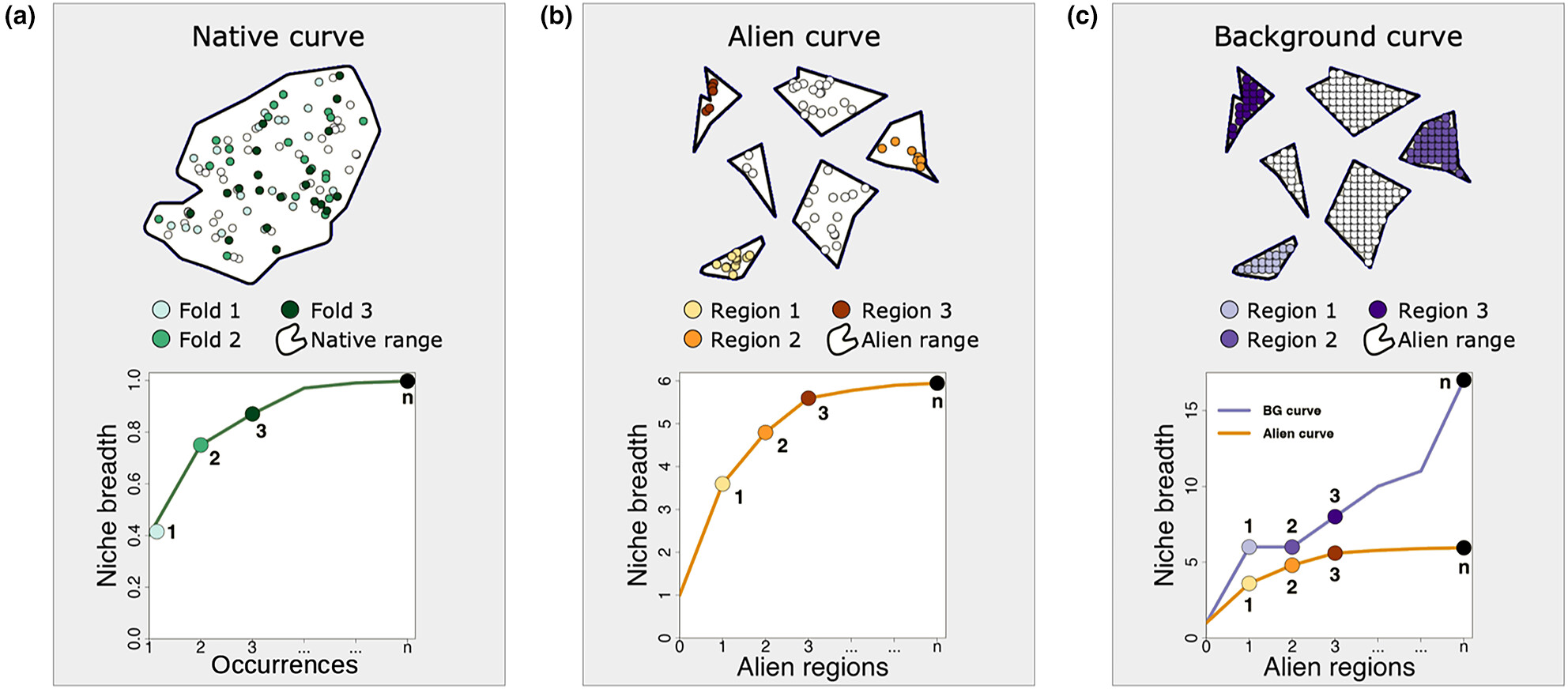 The cumulative niche approach: A framework to assess the performance of ecological niche model projections