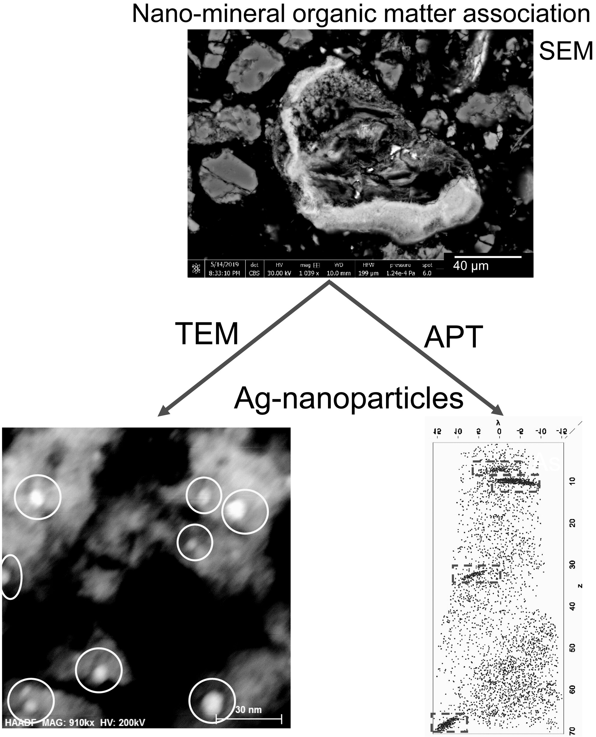 A Review of Analytical Techniques to Characterise Nanomaterial Associations with Minerals, Organic Matter and Organisms Issue 1, 2025