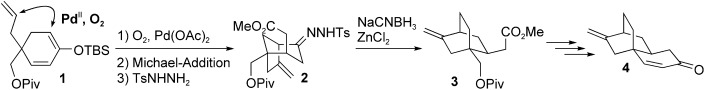 Formal Total Synthesis of Platencin