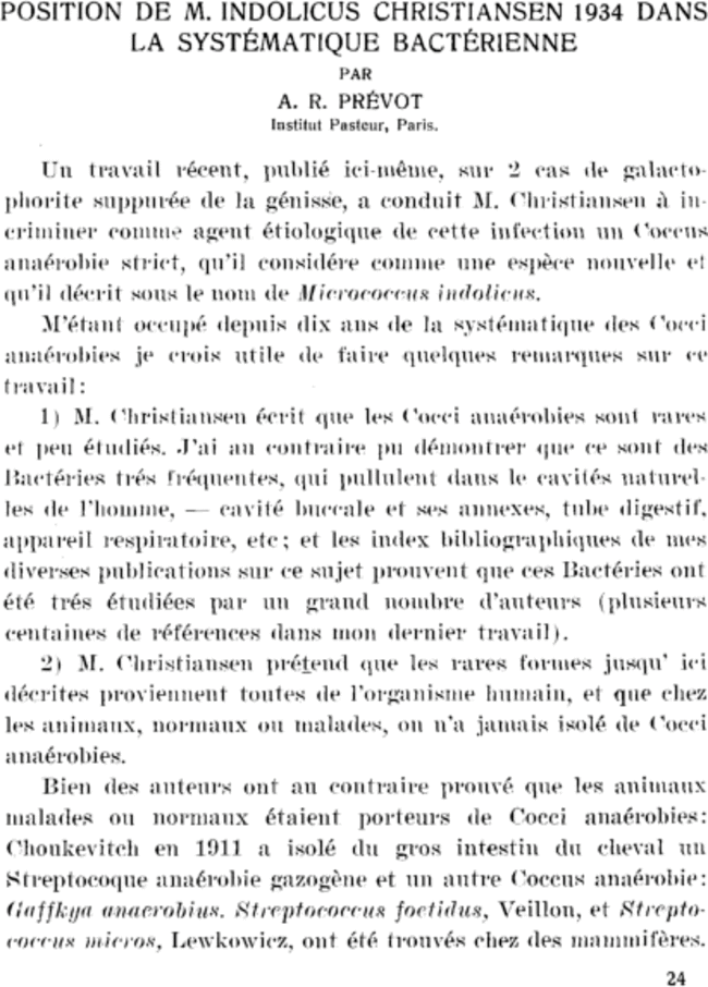 First page image