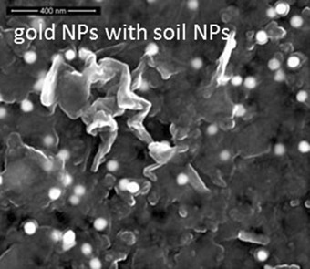Spot the Difference: Engineered and Natural Nanoparticles in the Environment—Release, Behavior, and Fate