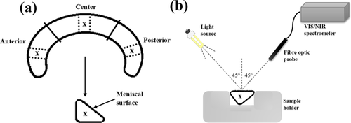 Details are in the caption following the image