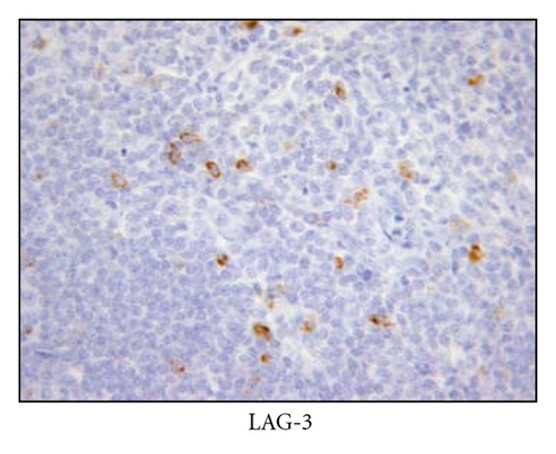 Details are in the caption following the image