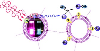 Activation of a Photodissociative Ruthenium Complex by Triplet–Triplet Annihilation Upconversion in Liposomes
