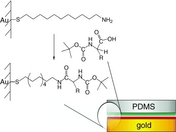 Forced Peptide Synthesis in Nanoscale Confinement under Elastomeric Stamps