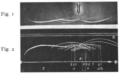 Details are in the caption following the image