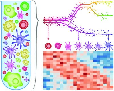 Computational methods for trajectory inference from single-cell transcriptomics