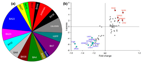 Molecular signature of extracellular matrix pathology in schizophrenia