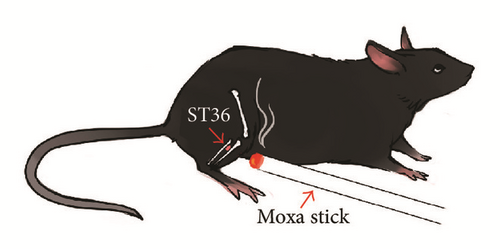 Details are in the caption following the image