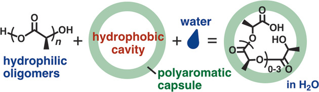 Hydrophilic Oligo(lactic acid)s Captured by a Hydrophobic Polyaromatic Cavity in Water