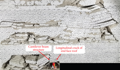 Details are in the caption following the image Details are in the caption following the image