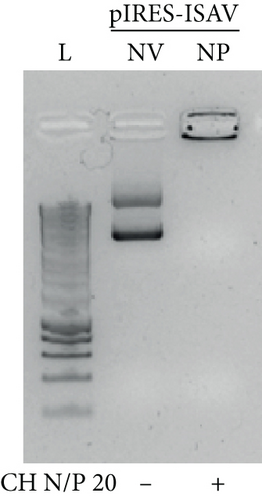 Details are in the caption following the image