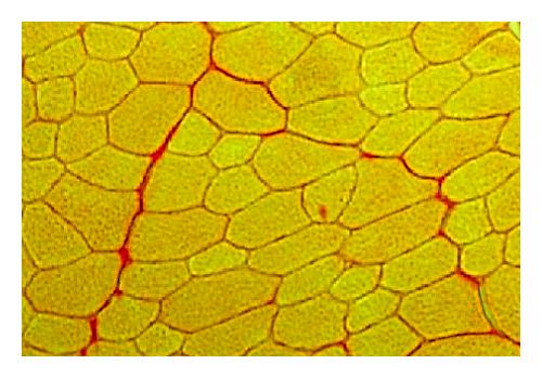 Details are in the caption following the image