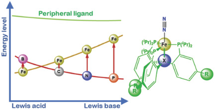N2 Reduction on Fe-Based Complexes with Different Supporting Main-Group Elements: Critical Roles of Anchor and Peripheral Ligands