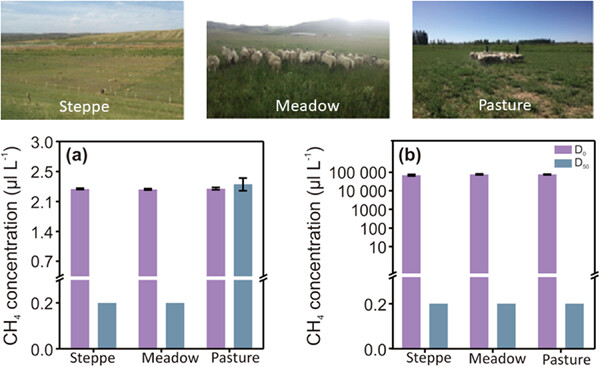 Elevated and atmospheric-level methane consumption by soil methanotrophs of three grasslands in China