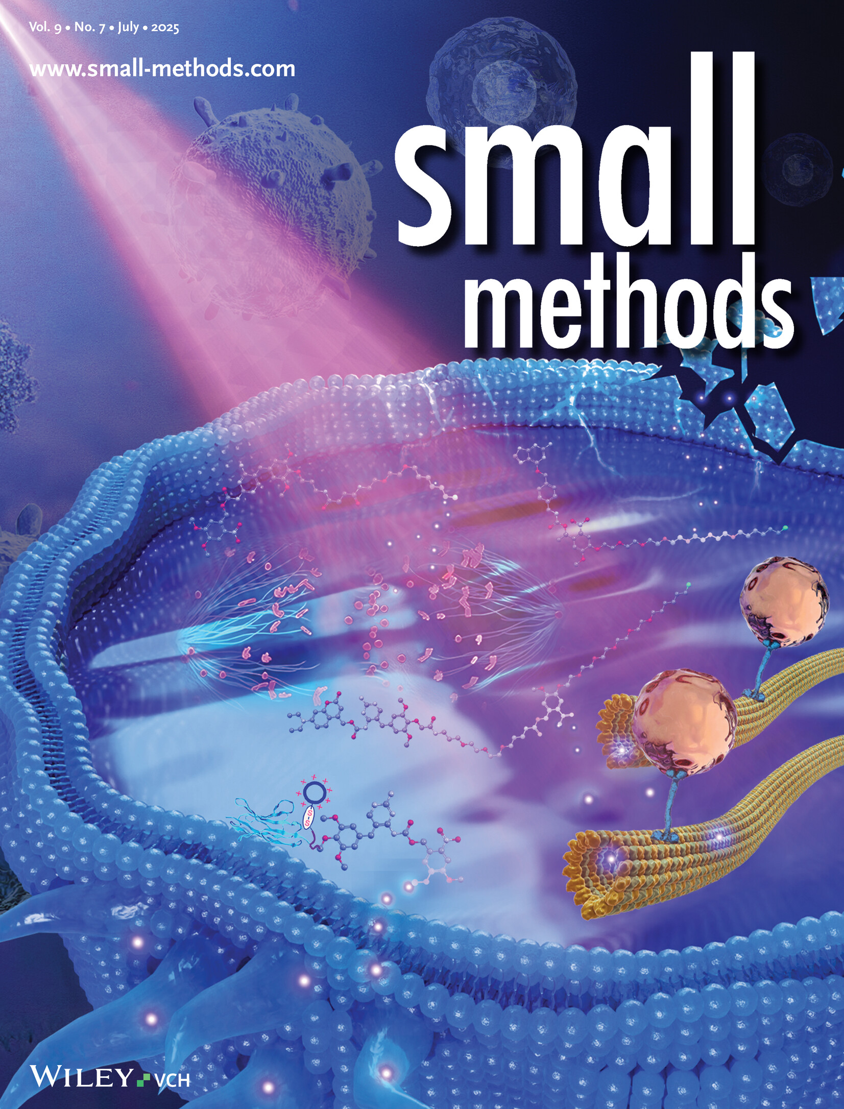 Chemo-optogenetic Dimerization Dissects Complex Biological Processes (Small Methods 7/2025) Volume 9 Issue 7, 2025