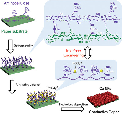 Green Fabrication of Highly Conductive Paper Electrodes via Interface Engineering with Aminocellulose