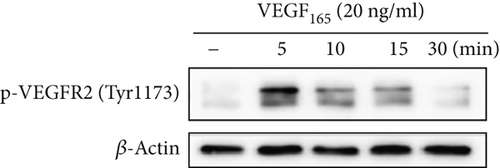 Details are in the caption following the image