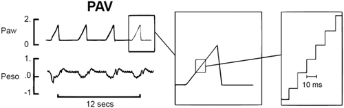 Details are in the caption following the image