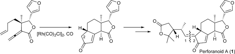 Isolation and Asymmetric Total Synthesis of Perforanoid A