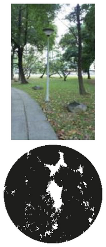 Details are in the caption following the image Details are in the caption following the image