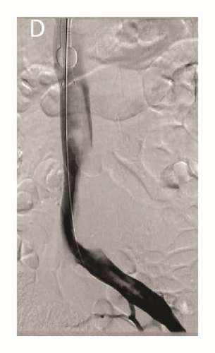 Details are in the caption following the image