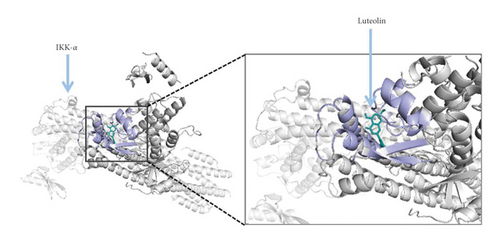 Details are in the caption following the image