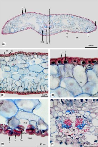 Details are in the caption following the image Details are in the caption following the image