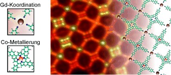 Orthogonal Insertion of Lanthanide and Transition-Metal Atoms in Metal–Organic Networks on Surfaces