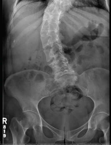 Details are in the caption following the image Details are in the caption following the image