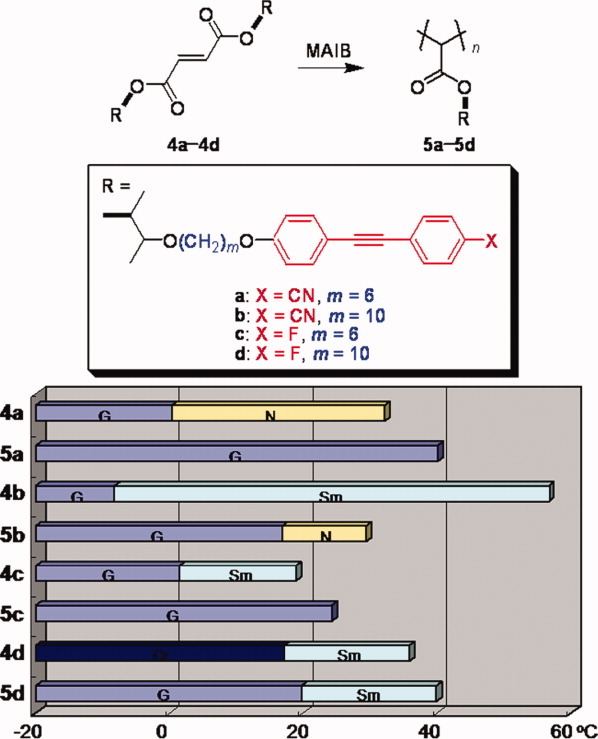 Side chain liquid crystal poly(fumarate)s bearing tolane-based mesogens