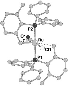 Cyclometalated Ruthenium(II) Complexes as Highly Active Transfer Hydrogenation Catalysts