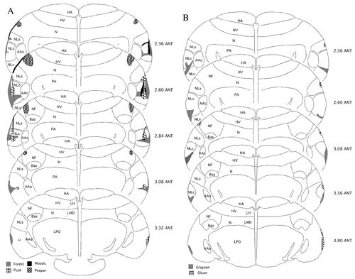 Details are in the caption following the image