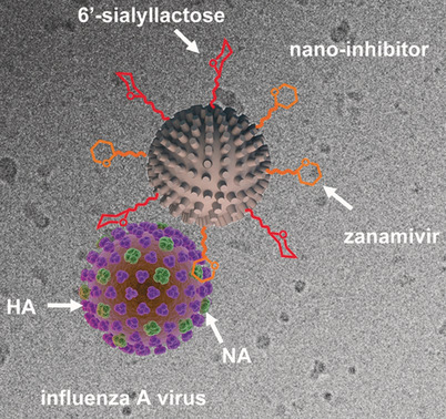 Topology-Matching Design of an Influenza-Neutralizing Spiky Nanoparticle-Based Inhibitor with a Dual Mode of Action