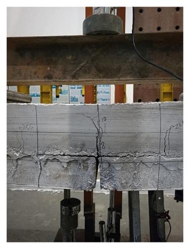 Details are in the caption following the image Details are in the caption following the image