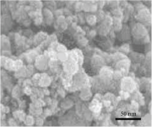 Details are in the caption following the image