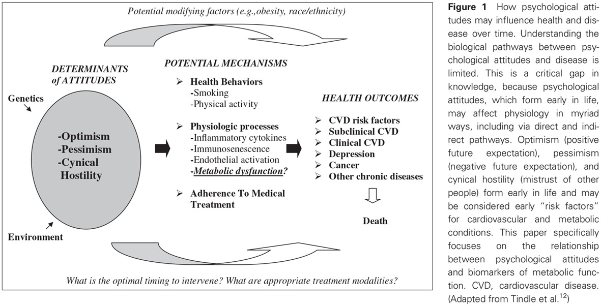 Optimism, pessimism, cynical hostility, and biomarkers of metabolic function in the Women's Health Initiative