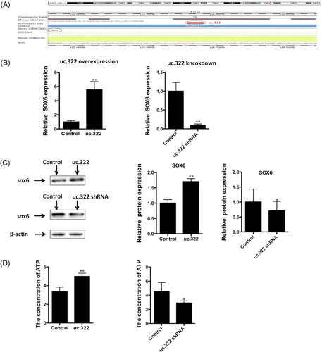 Details are in the caption following the image Details are in the caption following the image