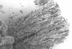 Scaling of Calcium Carbonate on the Exterior of Heated Surfaces in a Flow-Through Setup