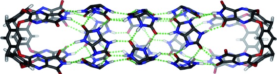 Longer Guests Drive the Reversible Assembly of Hyperextended Capsules